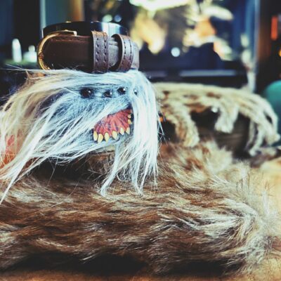 Świeca Potworna Księga Zapachów