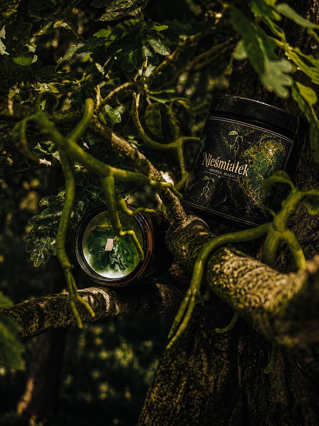 Świeca 250ml - Nieśmiałek
